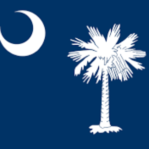 Group logo of South Carolina Agents