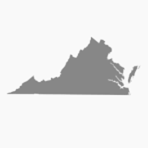 Group logo of Virginia Agents