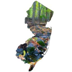 Group logo of New Jersey Agents
