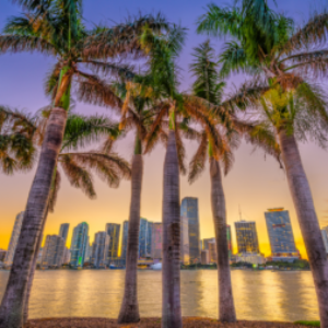 Group logo of Miami, FL